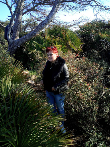 Font de Sa Cala Creuers Illa Balear - Thumbnail