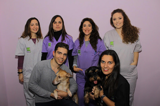 Vitalcan Centro Veterinario Urgencias 24 horas