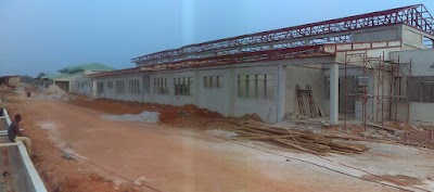 Photos of Latex foam Angola