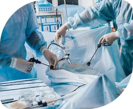 Gallery image 596