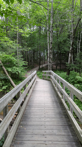 Escarpement Park - Visual