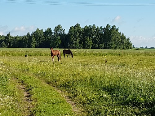 Jaago käsitöötalu