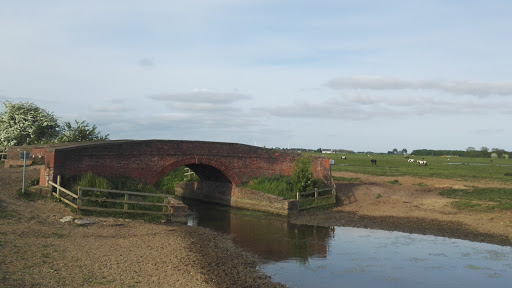Swinemoor wetland Gallery - United Kingdom