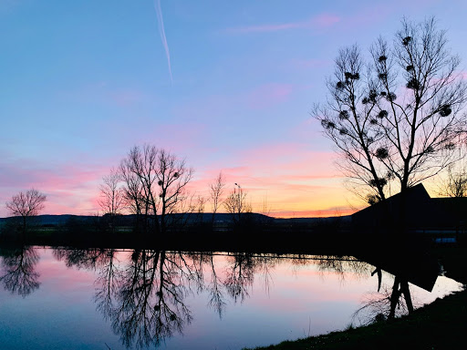Photo de Domaine du Lac de Douzy (camping)