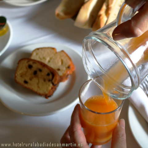 Abadía de San Martín by null