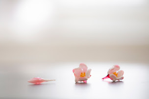 Photo n°14 de SY.Verre, fileurs de verre à Pernes-les-Fontaines (Atelier d'art)