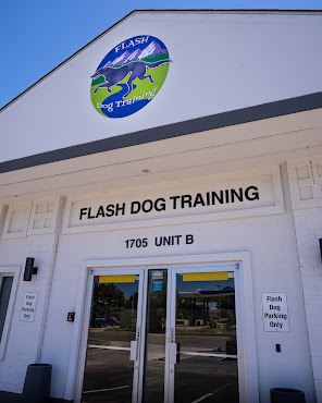 Flash Dog Training by null