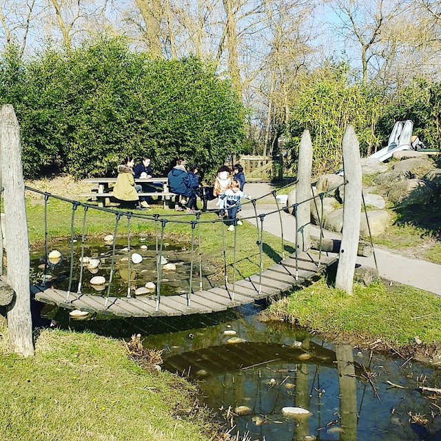 Jeugdland