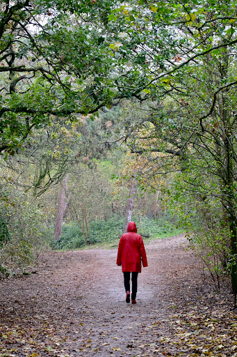 Uitkijkpunt Westduinpark - Thumbnail