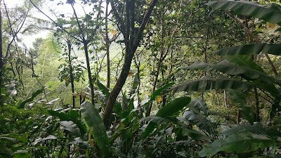 Photos of Mount Qua Qua