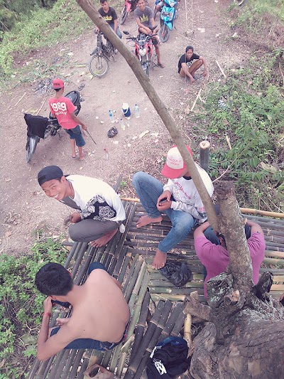 Photos of Gubug Pohon