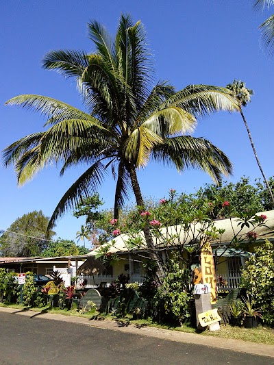 Tiki Beach Hostel