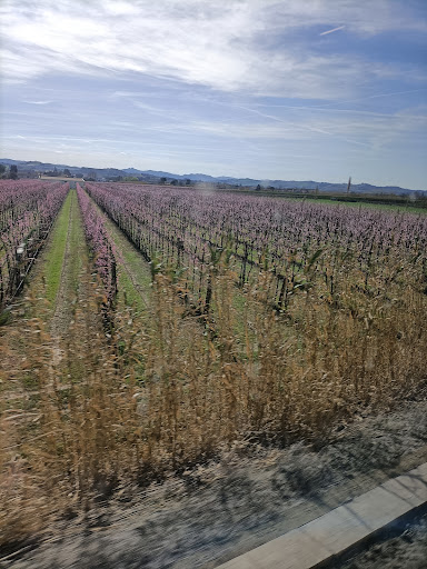 Golena di San Tomé - Thumbnail