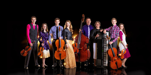 The Johnson Strings - Visual