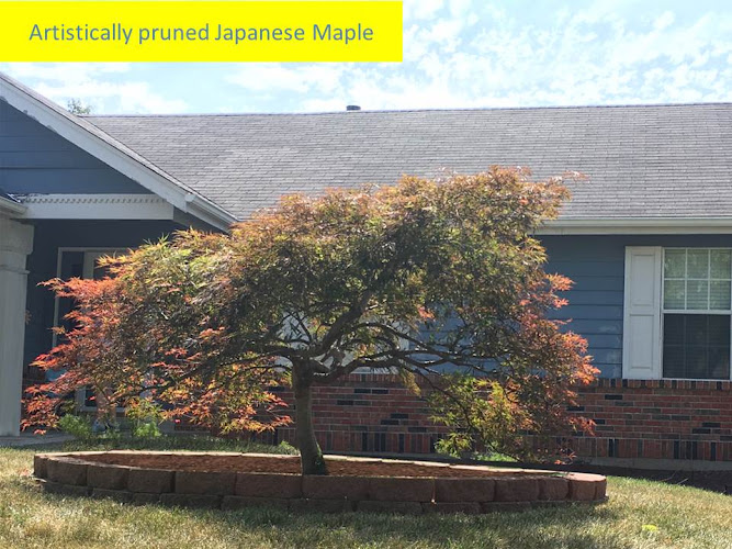 Shrub Appeal