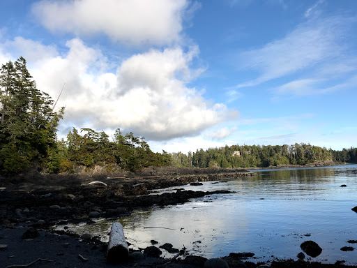 Cygnet Cove - Thumbnail