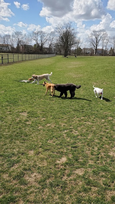 Dog park