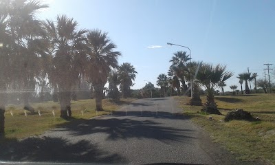Photos of Camping Palmar del Lago