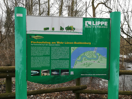 Fischaufstieg Am Wehr - Thumbnail