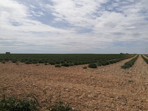 Domaine Demol - Thumbnail