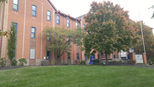 Delta Upsilon - Visual