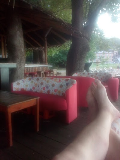 Photos of Mosquito BEACH BAR