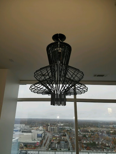 Wired Pro Electric - Visual