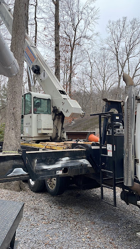 Evergreen Tree Service