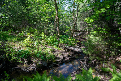 Mosquito Falls - Thumbnail