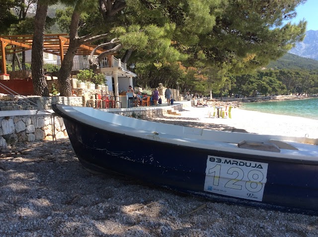 Mačíć Caffe Bar