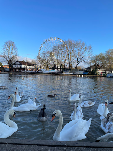 Canal and River Tours Ltd - Thumbnail