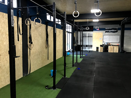 Animals Eleuterio Fitness - Bolognetta - Thumbnail