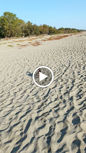 Photo de Résidence Sognu di Mare à Linguizzetta (20230)