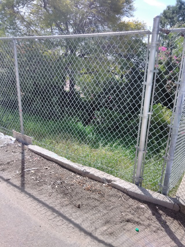 El Pino