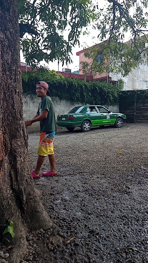 Lavado de autos "El Carmen" - Thumbnail