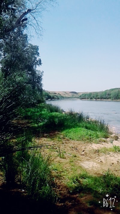 Photos of متنزه أم الربيع