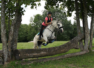 Photo n°2 de Poney-club Ponix à Vovray-en-Bornes (Centre équestre)