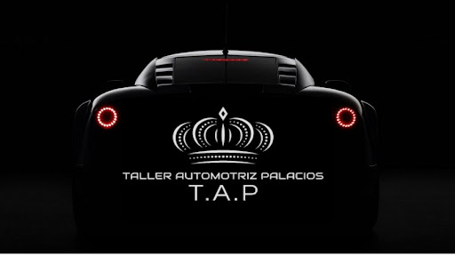 Taller Automotriz Palacios