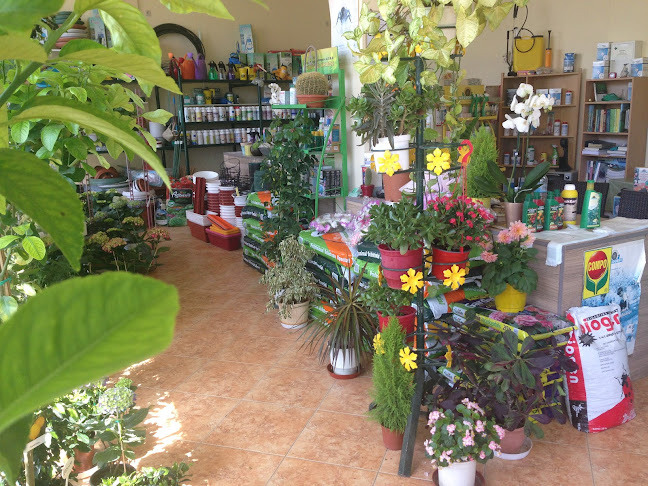 Γεωπονική Φυλής - Κατάστημα εργαλείων