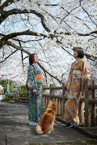 キモノヨロズ屋 迦穏亭 Kimono Yorozuya Kanontei