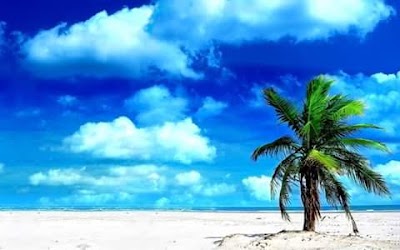 Photos of قاعة النخيل سرس الليان