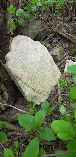McCallum family Cemetery - Thumbnail