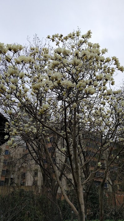 Photos of Zhengzhou People's Park