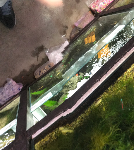 New Katong Aquarium - Thumbnail