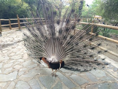 Photos of Parque los Pinos