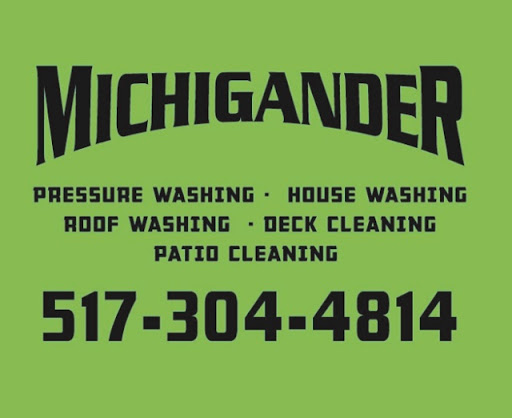 Michiganders - Visual