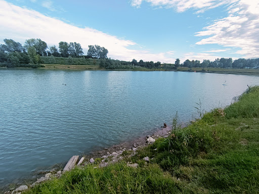 Laghetti Camporanieri - Visual