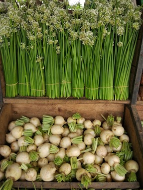 Koratuwa Vegetable Shop, Author: Jude Fernando