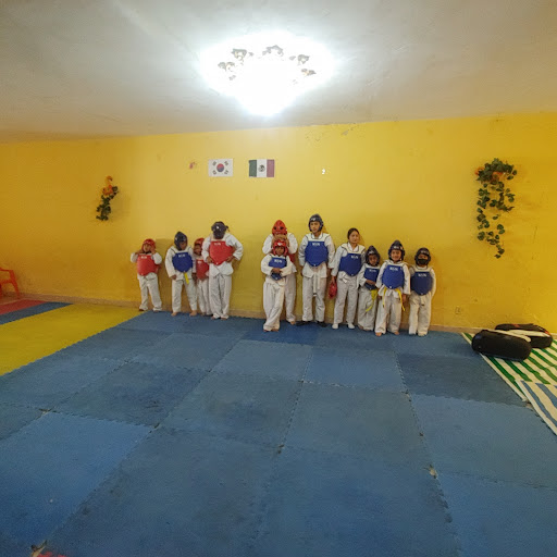 Mnssportgym - Thumbnail