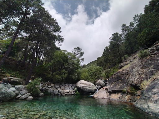 Charco Verde - Visual